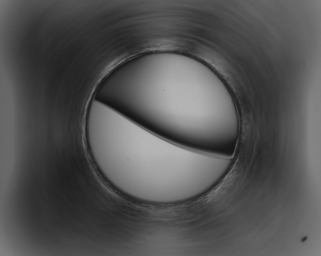 X0000097480850200802220819