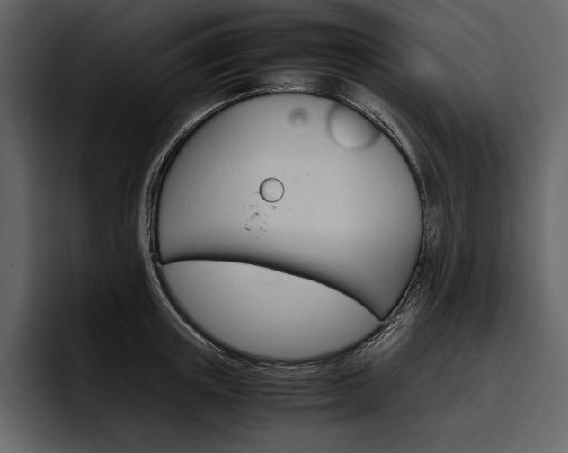 X0000097480851200802220819