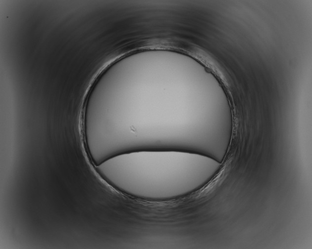 X0000097480855200802220819