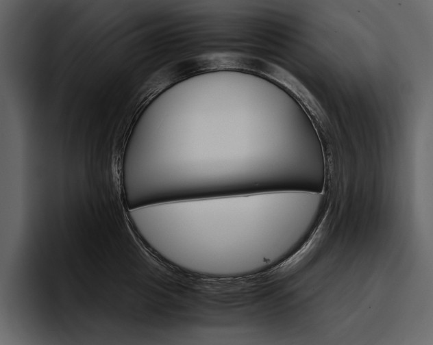 X0000097480857200802220819