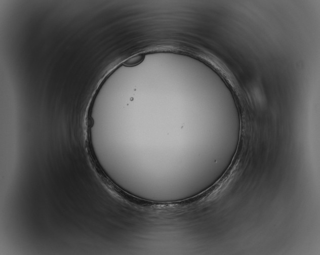 X0000097480858200802220819