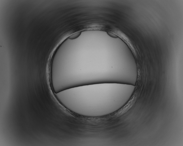 X0000097480859200802220819
