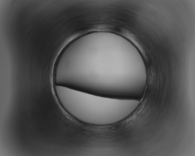 X0000097480861200802220819