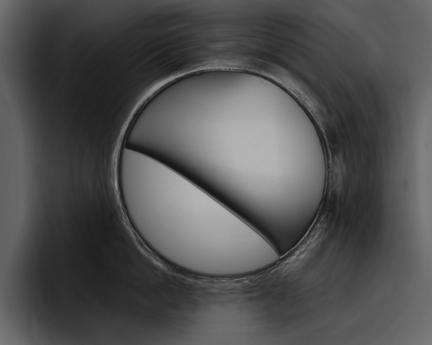 X0000097480862200802220819