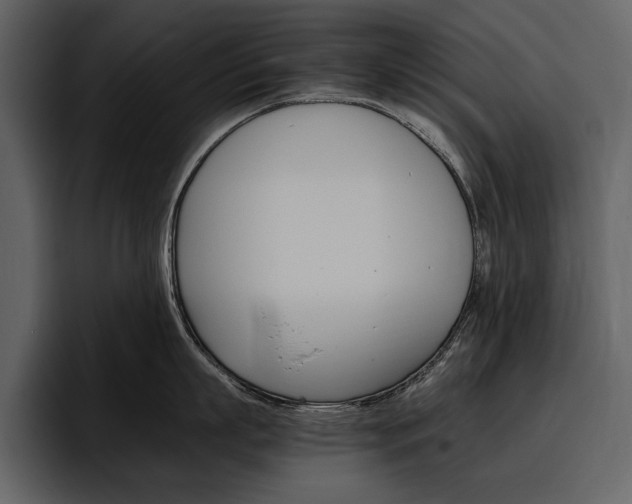 X0000097480863200802220819