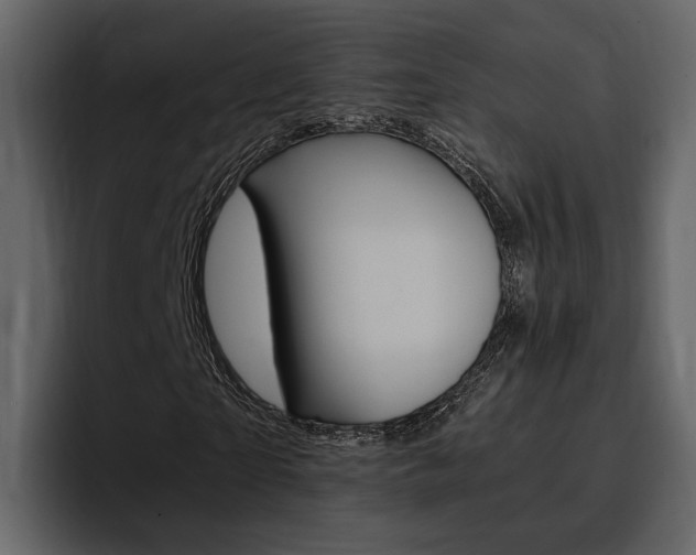 X0000097480865200802220819