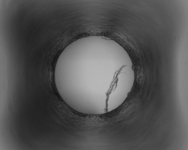 X0000097480866200802220819