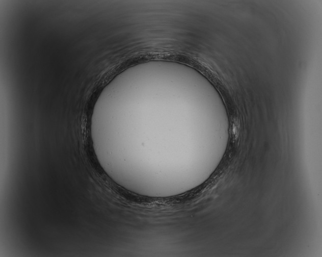 X0000097480867200802220818