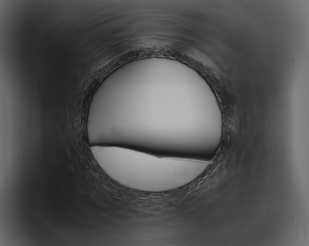 X0000097480869200802220818
