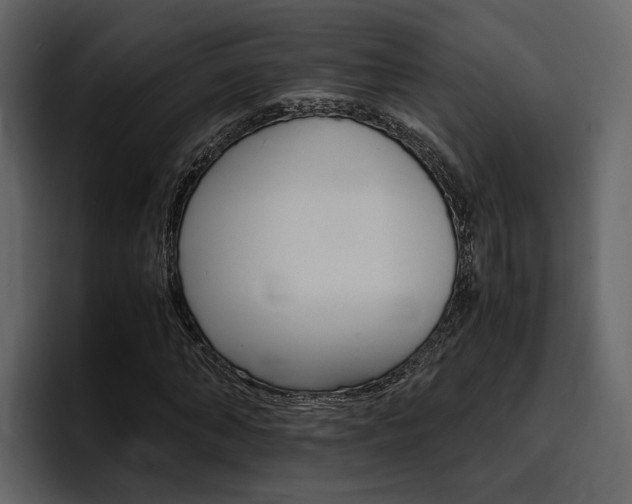 X0000097480870200802220818