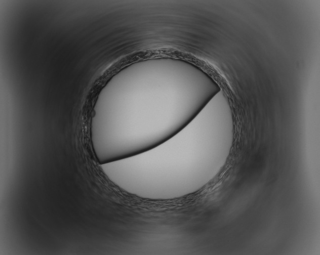 X0000097480871200802220818