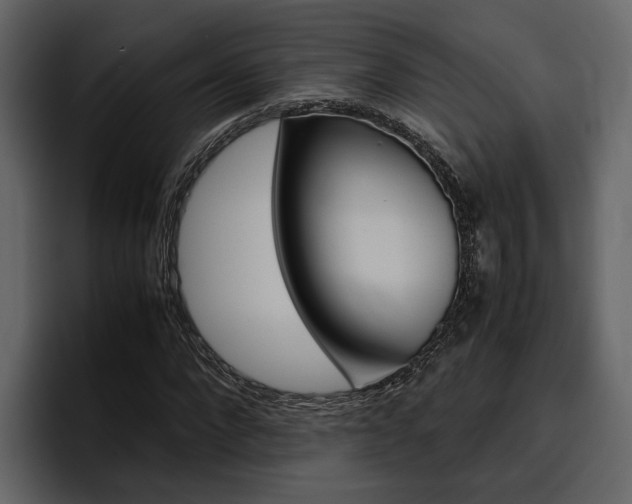 X0000097480872200802220818