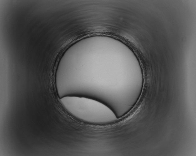X0000097480873200802220818