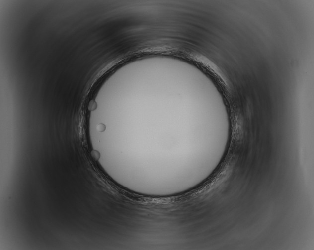 X0000097480874200802220818