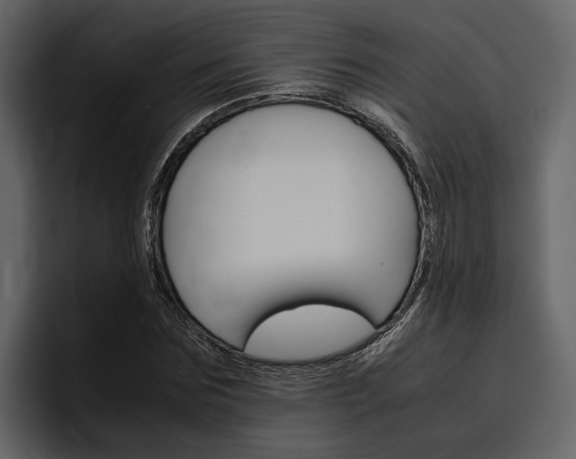 X0000097480875200802220818