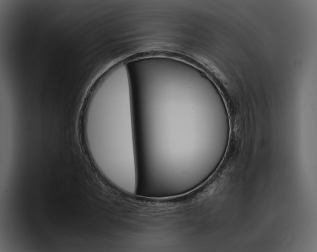 X0000097480877200802220818