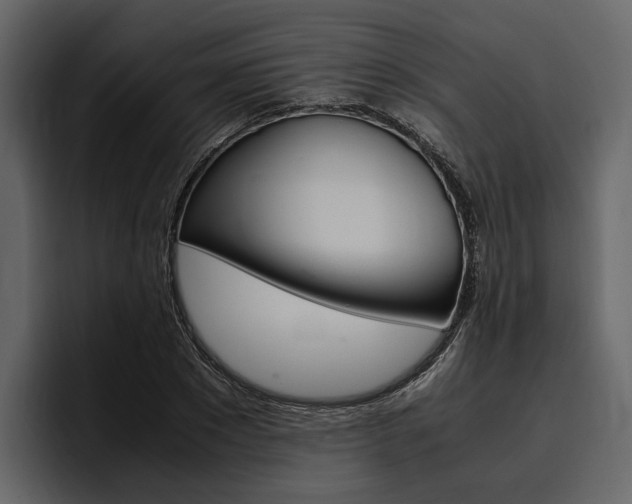 X0000097480881200802220818