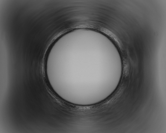 X0000097480882200802220818
