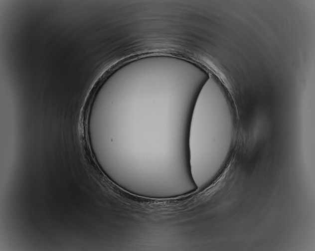 X0000097480883200802220818