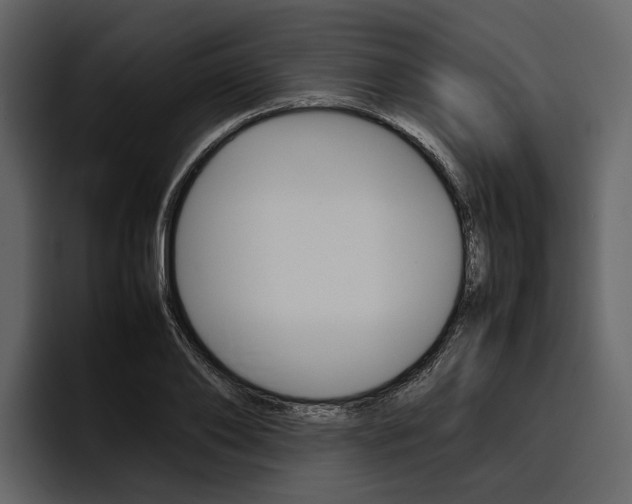 X0000097480886200802220818