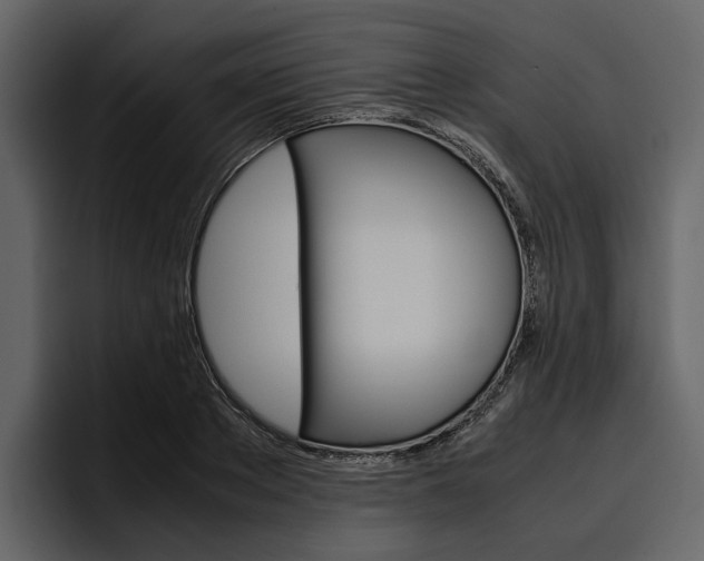 X0000097480889200802220818