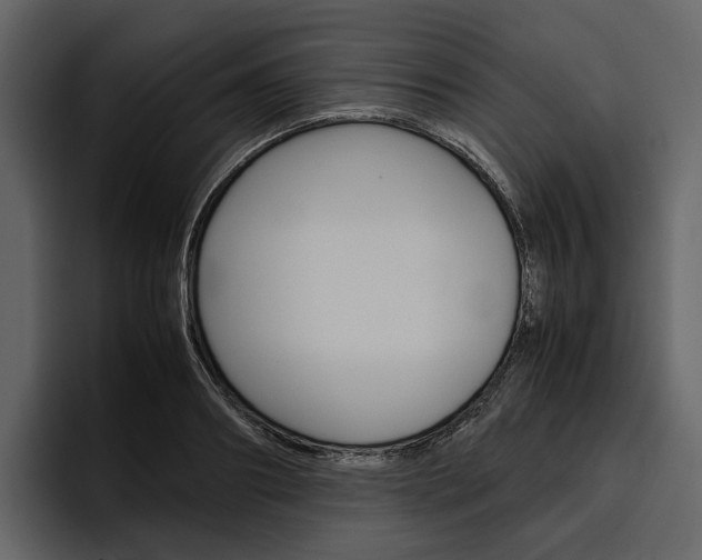 X0000097480890200802220818