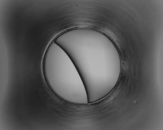 X0000097480891200802220818