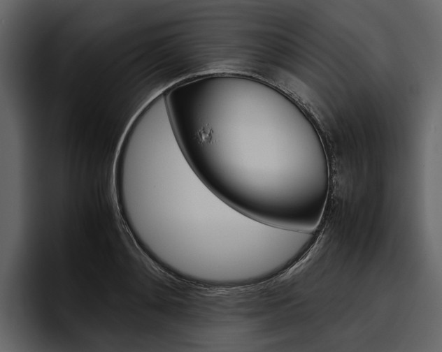 X0000097480892200802220818