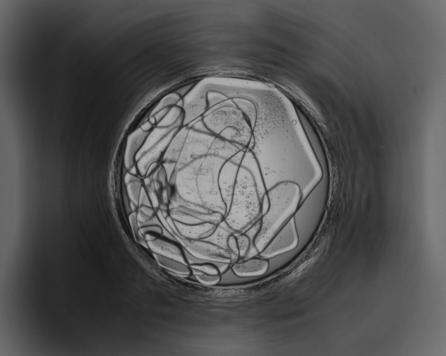 X0000097480893200802220818