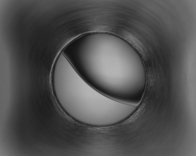 X0000097480900200802220818
