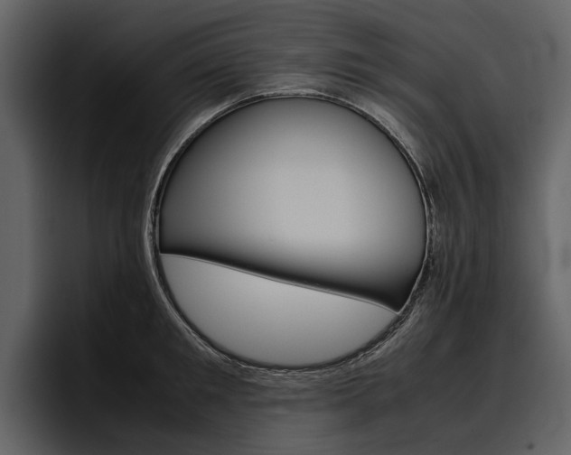 X0000097480901200802220818