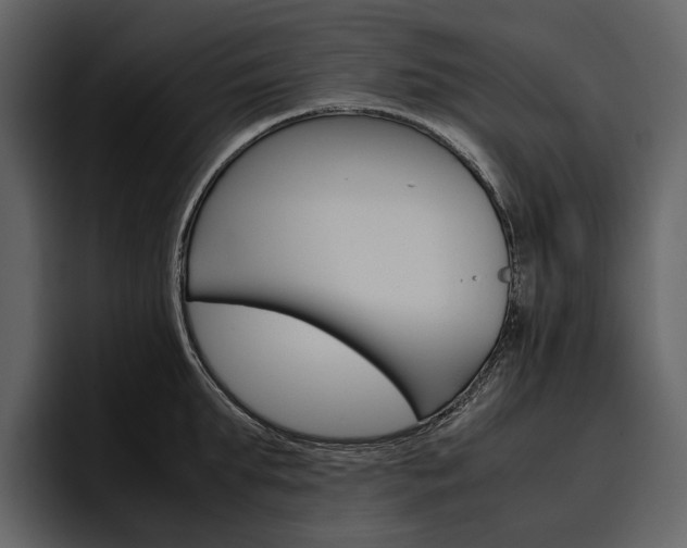 X0000097480903200802220818