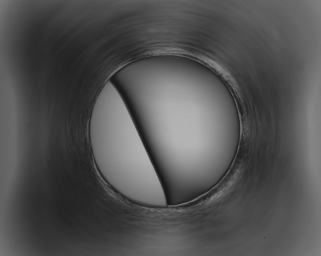 X0000097480905200802220818