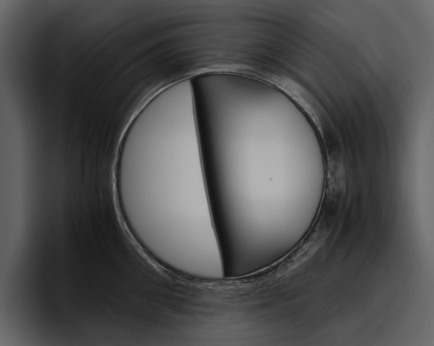 X0000097480906200802220818