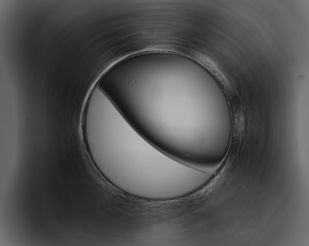 X0000097480908200802220818