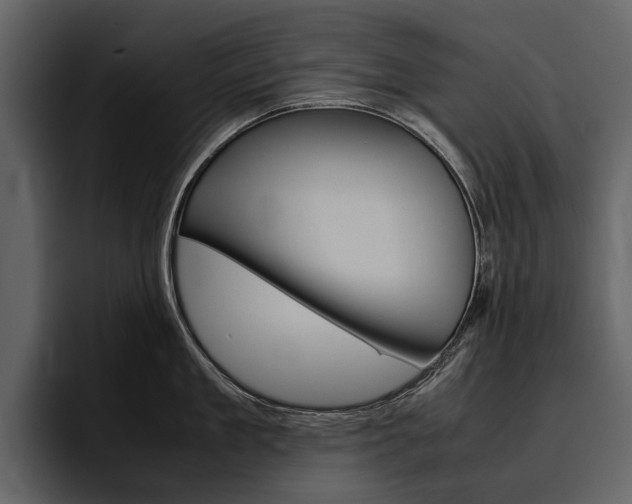 X0000097480909200802220818