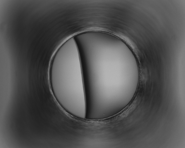 X0000097480910200802220818