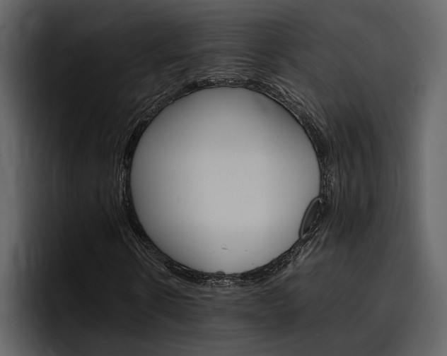 X0000097480914200802220817