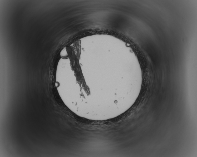 X0000097480918200802220817