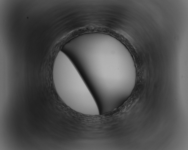 X0000097480919200802220817