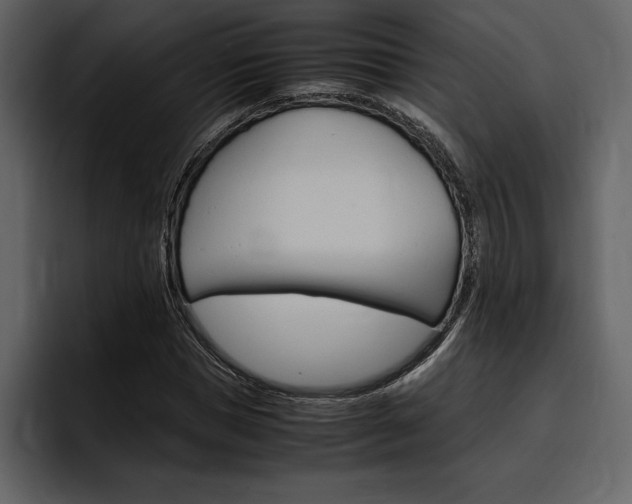 X0000097480921200802220817