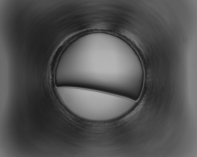 X0000097480923200802220817