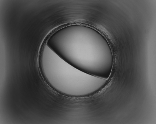 X0000097480924200802220817