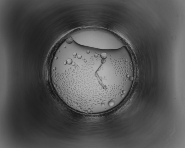 X0000097480925200802220817