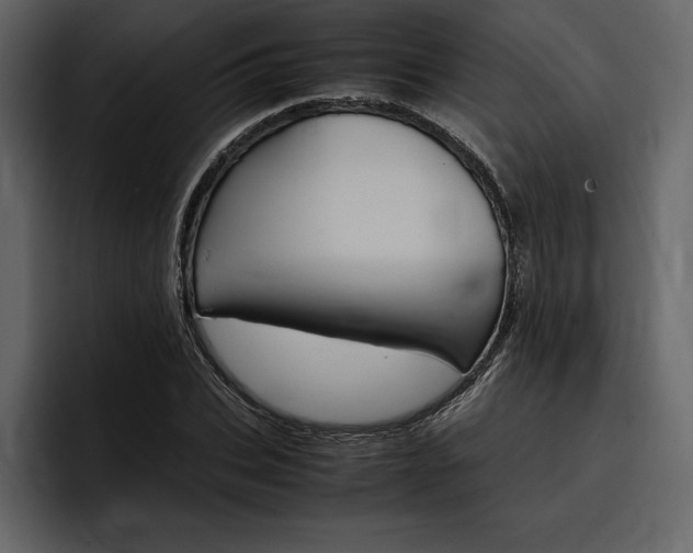 X0000097480927200802220817