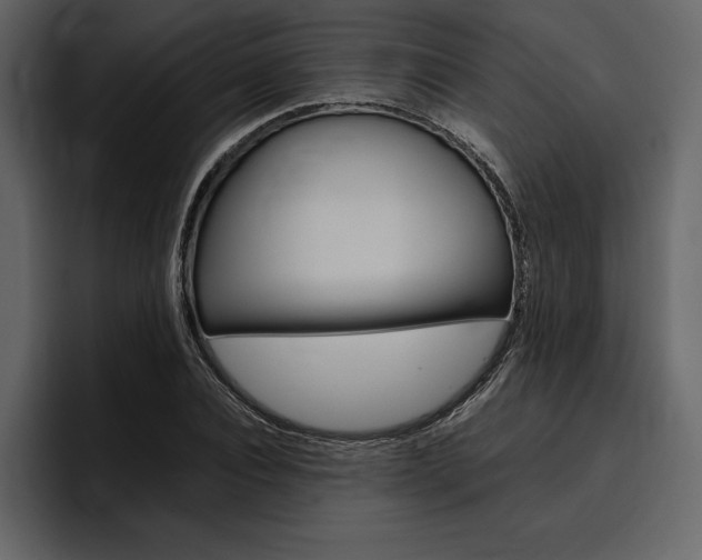 X0000097480928200802220817