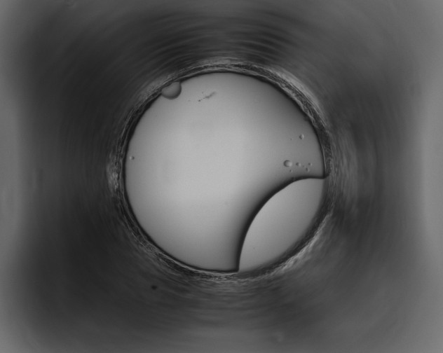 X0000097480929200802220817