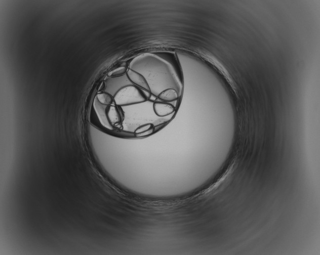 X0000097480930200802220818