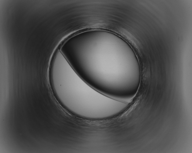 X0000097480932200802220818