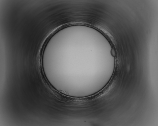 X0000097480933200802220818